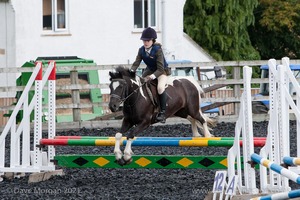 Class 3 -  Fences not above 2'3